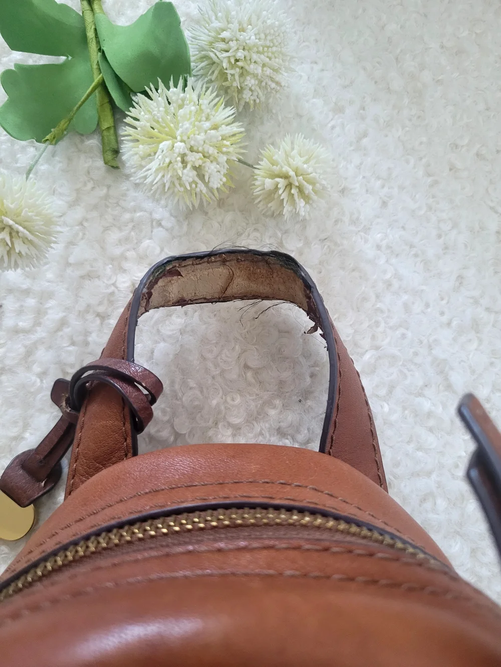 Fossil Megan Mini Backpack